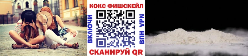 COCAIN Fish Scale  Купить где  Покров 