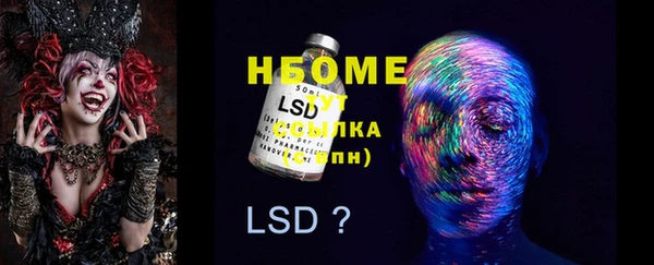 ешки Инта