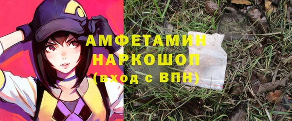 ешки Инта