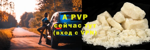 ешки Инта
