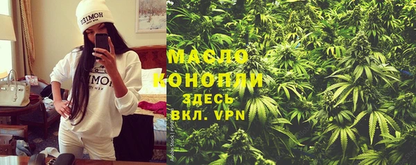 ешки Инта