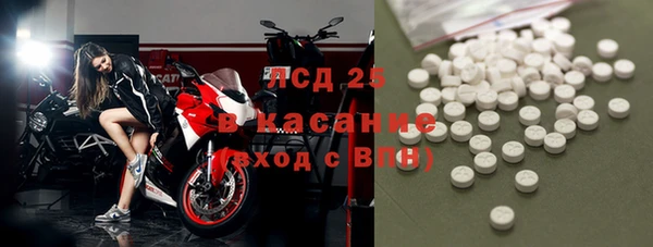 PSILOCYBIN Инсар