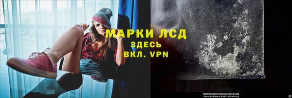 PSILOCYBIN Инсар