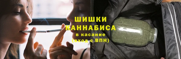 ешки Инта