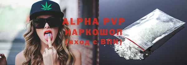 ешки Инта