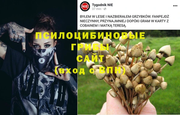 ешки Инта