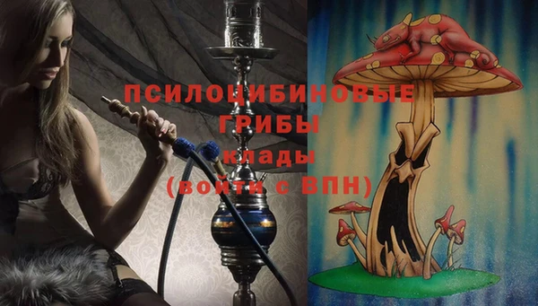 спайс Иннополис