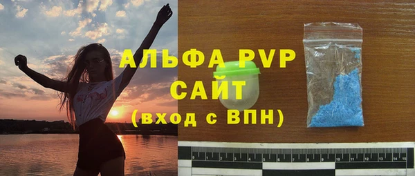 PSILOCYBIN Инсар