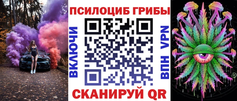 Псилоцибиновые грибы Psilocybe  Купить  Покров 